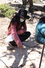 more rock and soil explorations